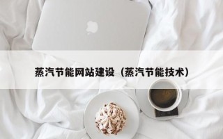 东明蒸汽节能网站建设（蒸汽节能技术）
